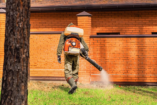 Bed Bug Clearance Verification and Documentation in Norton Shores